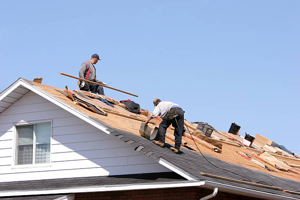 Best Asphalt Shingle Roofing  in Pocono Ranch Lands, PA